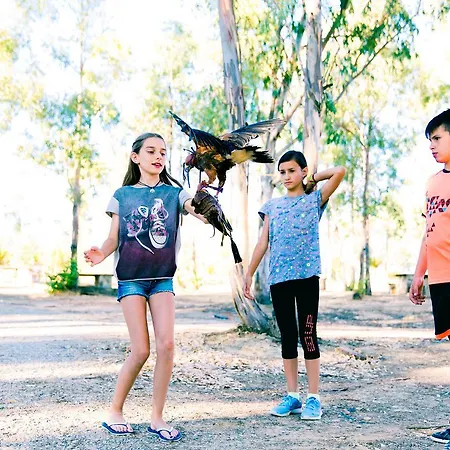 De Los Molinos Vandrarhem