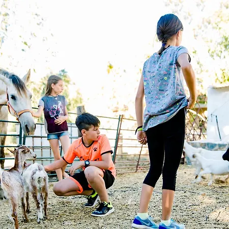 De Los Molinos Hostel *