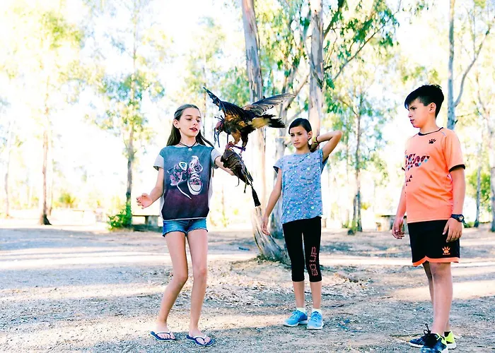 De Los Molinos Vandrerhjem