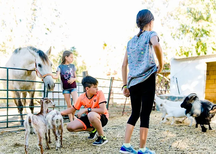 De Los Molinos Vandrerhjem *